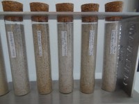 /album/collection-de-sable-partie-1/a6-jpg1/