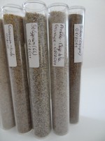 /album/partie-5/a22-jpg1/