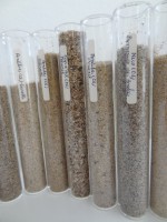 /album/partie-6/a25-jpg1/