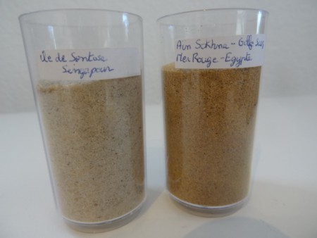 Iles Lavezzi (Corse du Sud) / Plage de Calzarellu à Ghisonaccia (Corse du Sud)